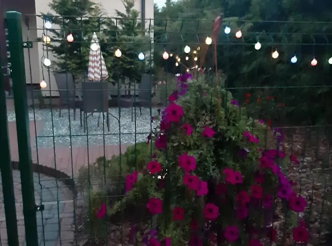 Apartament Na Przedmieściach Radzymina Z Prywatnym Parkingiem I Ogrodem Faktura